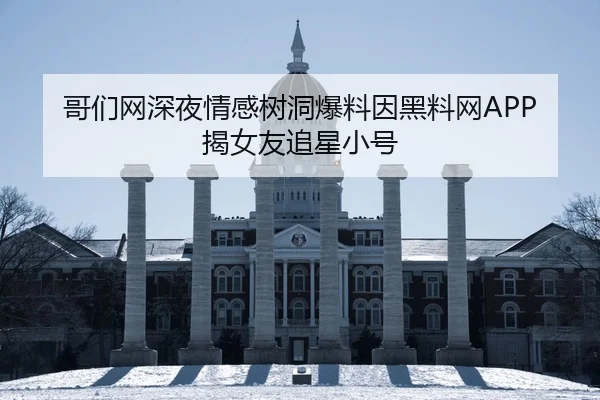 哥们网深夜情感树洞爆料因黑料网APP揭女友追星小号